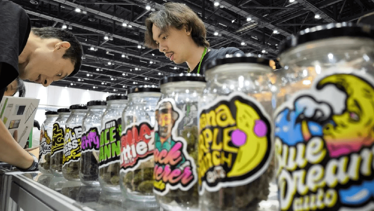 Asia International Hemp Expo: A One-of-a-Kind Experience Asia International Hemp Expo: A One-of-a-Kind Experience