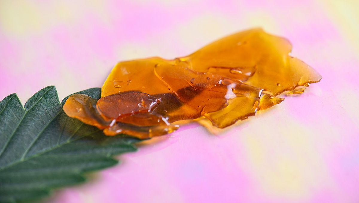 Cannabis Shatter: What Is It, How To Make And Smoke THC & CBD Hash Oil: A bit of rosin lying on top of a fresh cannabis leaf Cannabis Shatter: What Is It, How To Make And Smoke THC & CBD Hash Oil: A bit of rosin lying on top of a fresh cannabis leaf