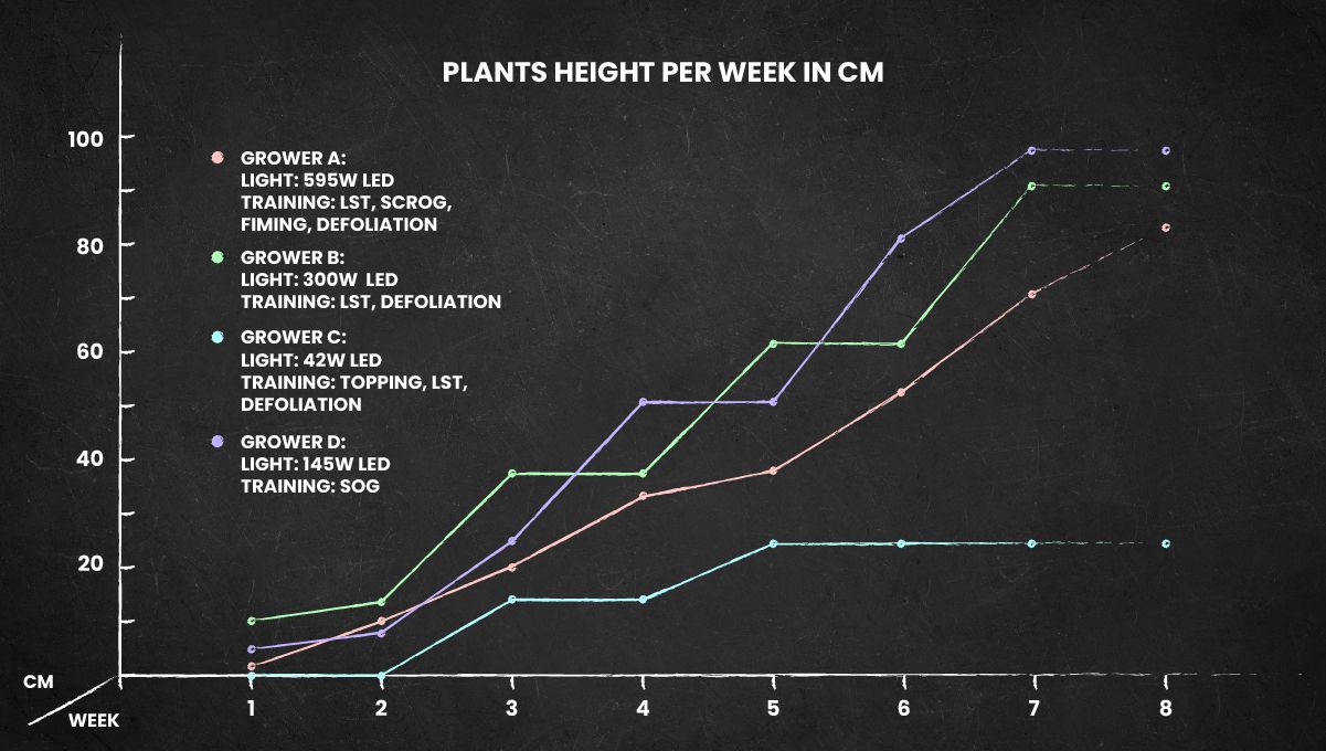 Orange Sherbet Auto Cannabis Strain Week-by-Week Guide: Plants' height throughout the life cycle Orange Sherbet Auto Cannabis Strain Week-by-Week Guide: Plants' height throughout the life cycle