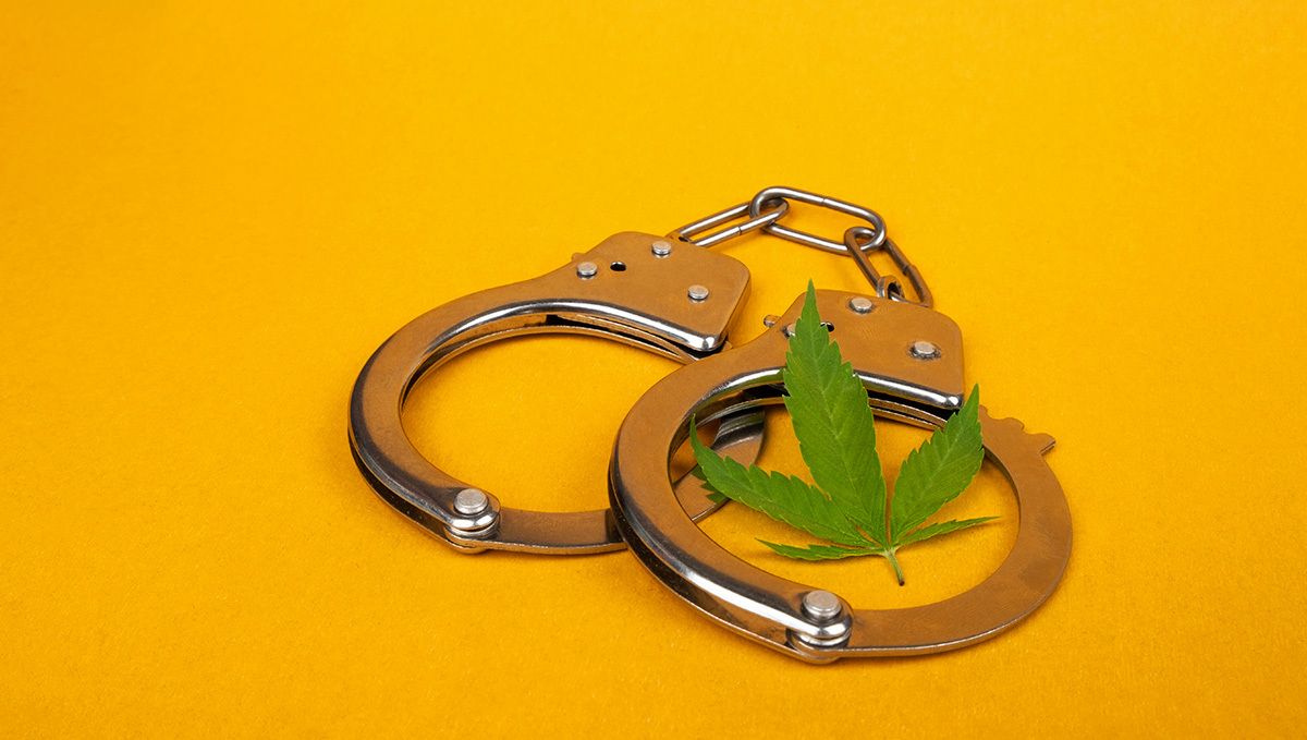The origin of the word ‘marijuana’: why it is seen as having a background in racism