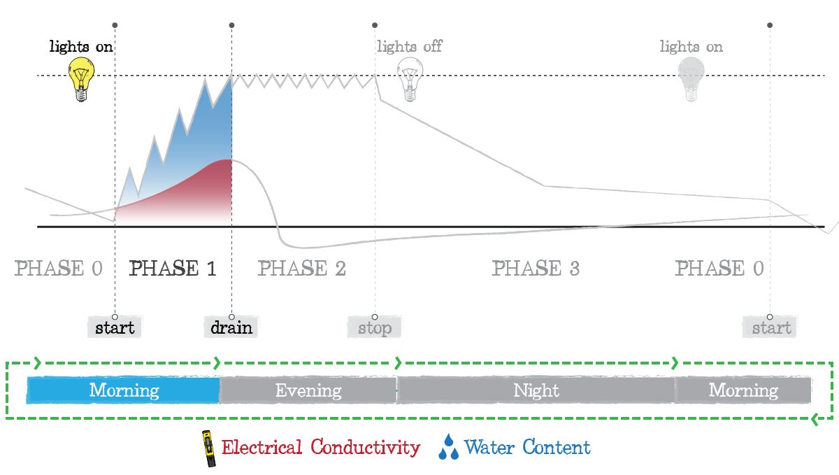 Crop steering cannabis: phase 1 Crop steering cannabis: phase 1