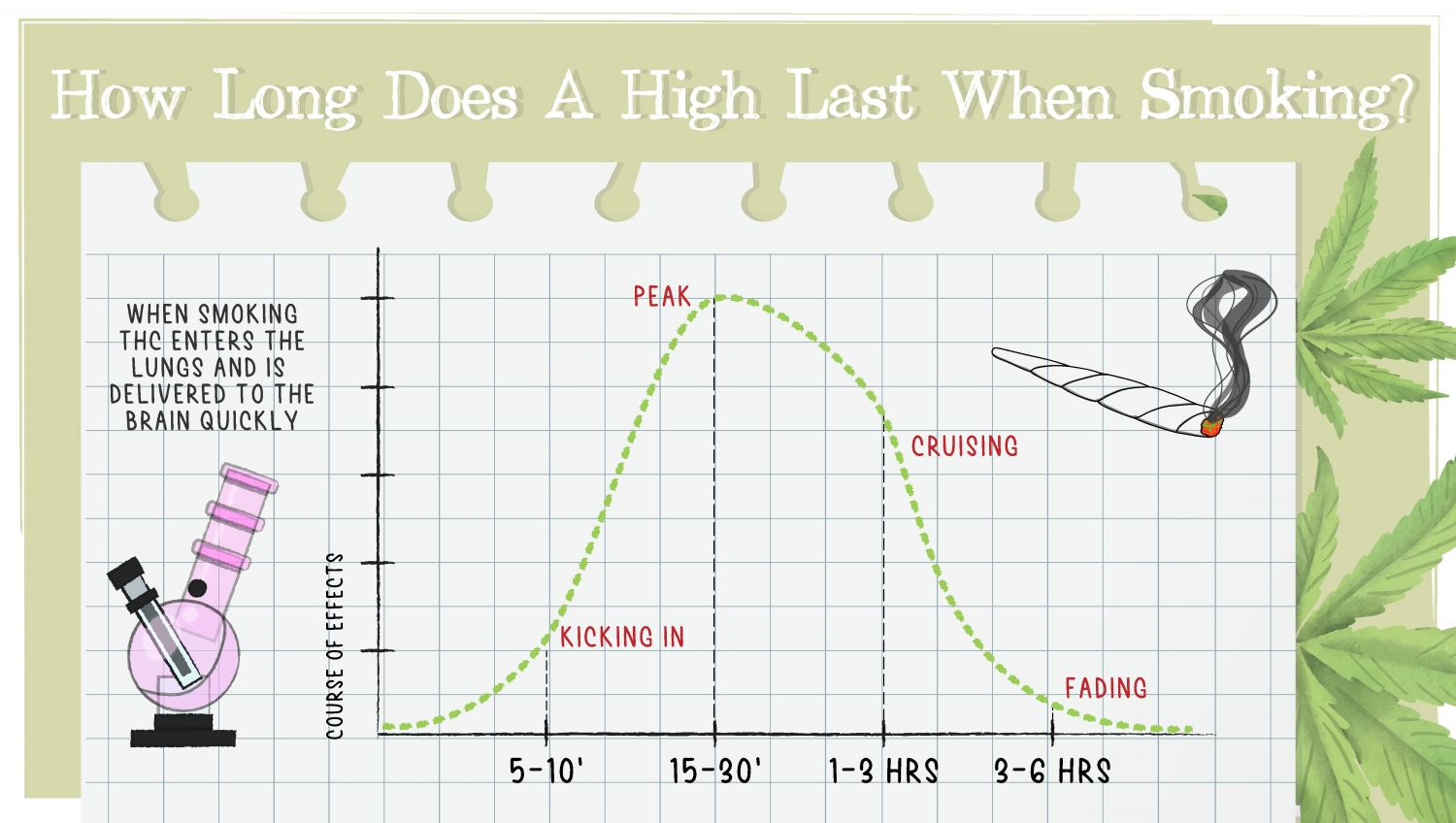 How Long Does a Weed High Last & What are the Effects of Cannabis: An infographic showing the timeline of cannabis effects when it's smoked How Long Does a Weed High Last & What are the Effects of Cannabis: An infographic showing the timeline of cannabis effects when it's smoked