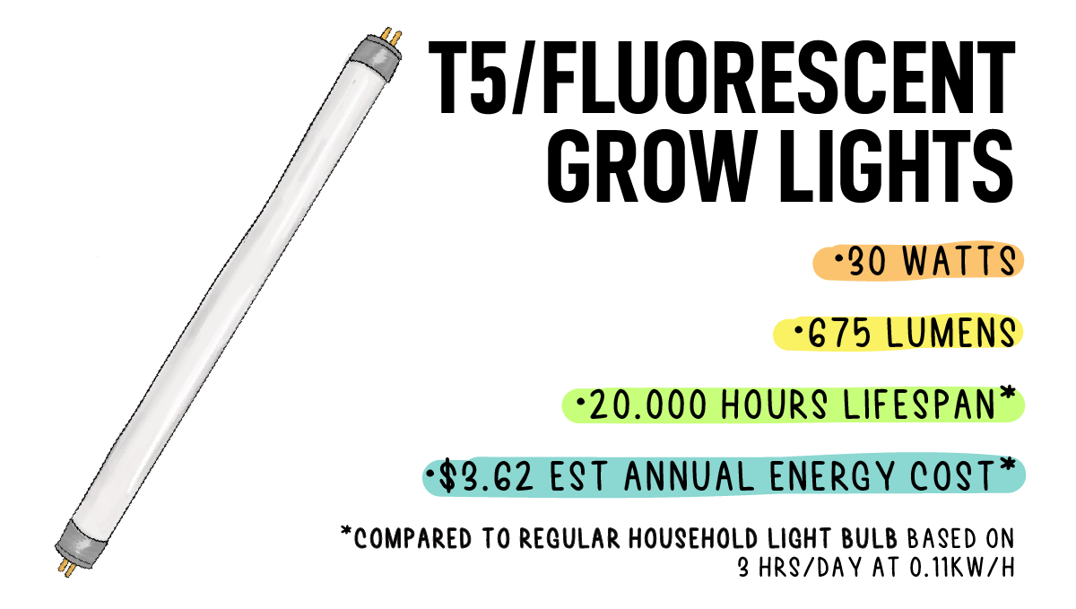 Types of lights for autoflowers: t5