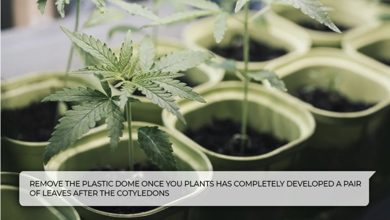 Screenshot 2021-07-14 at 18.19.38.png