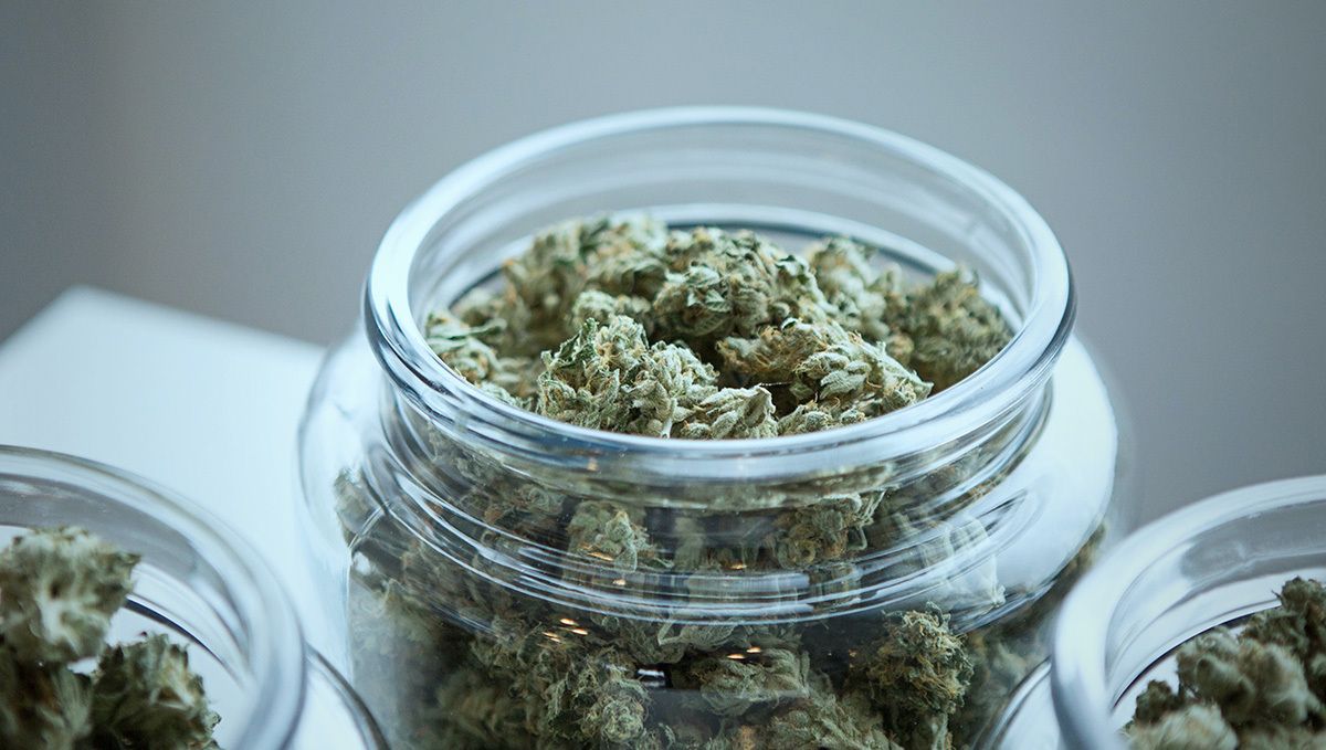 How to store cannabis: long-term storage How to store cannabis: long-term storage