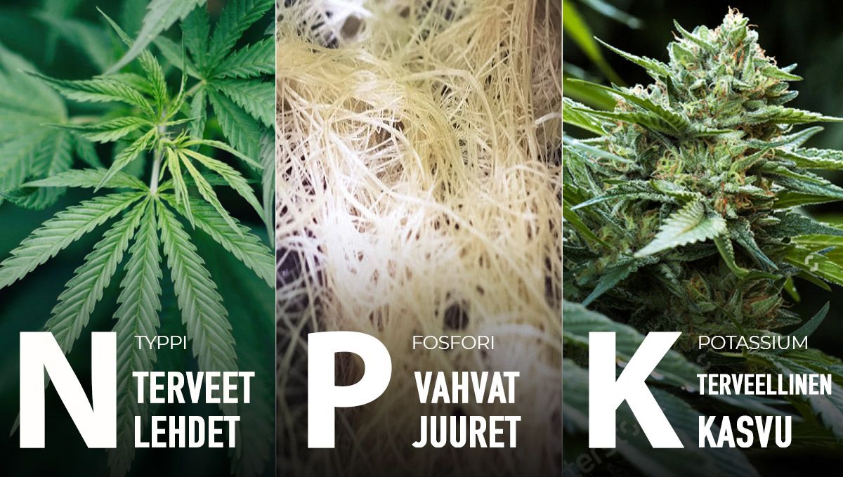 9 virhett&auml; joita v&auml;ltt&auml;&auml;: NPK (makroravinteet)