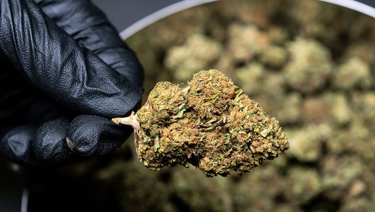 How to store cannabis: do's How to store cannabis: do's