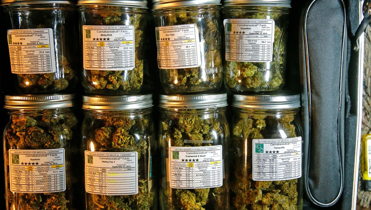 BubbleGum Auto bei der Reifung