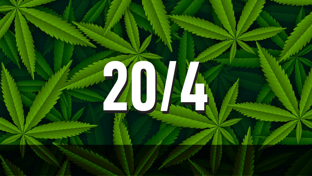 Καλύτερο πρόγραμμα φωτισμού για δενδρύλλια κάνναβης αυτόματης ανθοφορίας: 20/4 κύκλος φωτός για δενδρύλλια κάνναβης