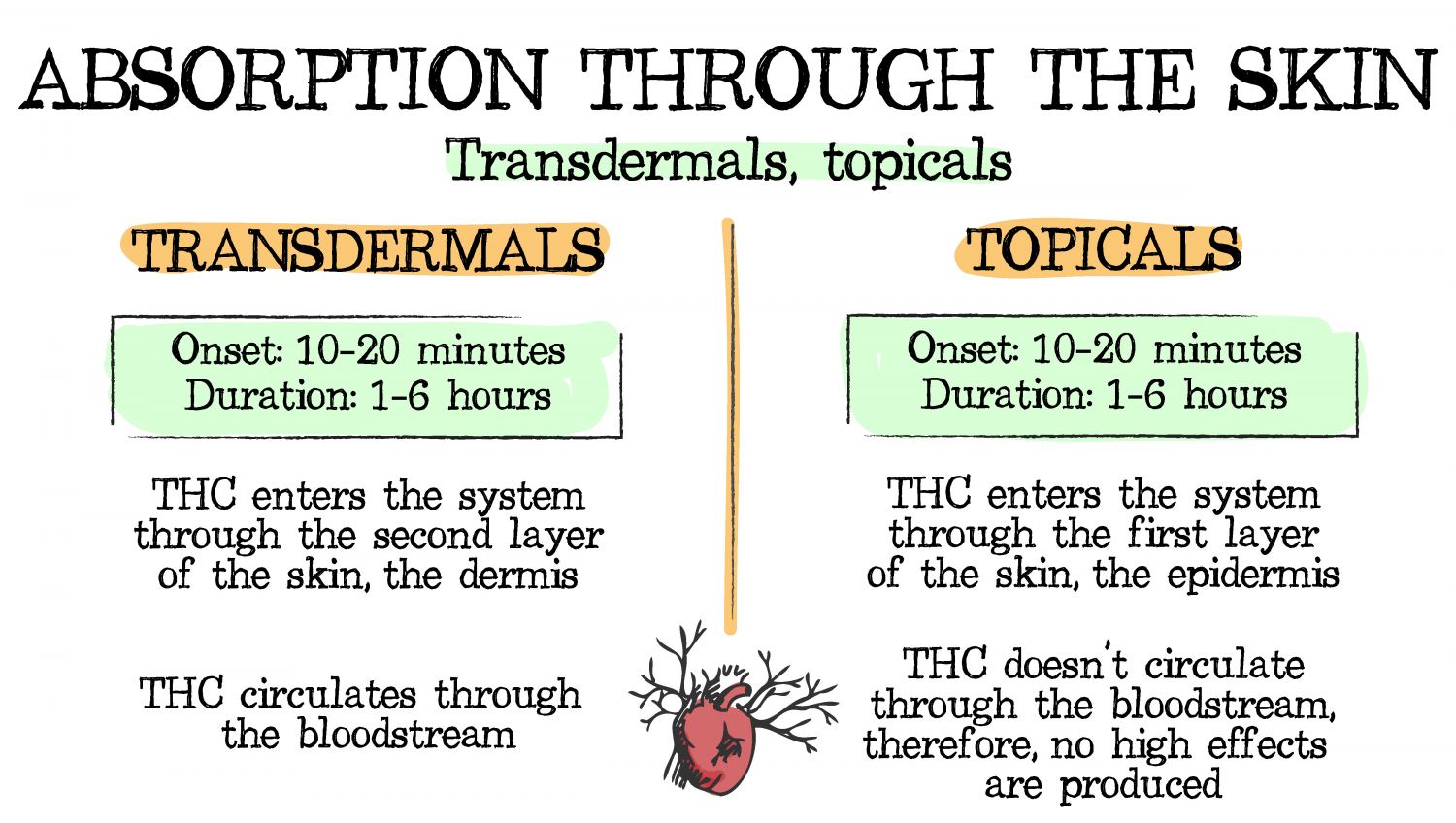 How cannabis can be absorbed: through the skin