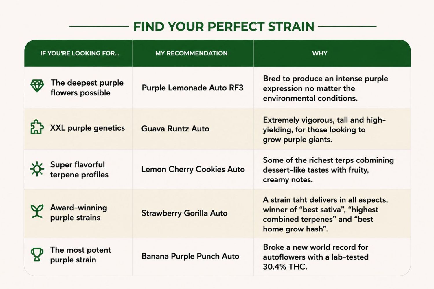 Qual strain roxa é ideal para você?