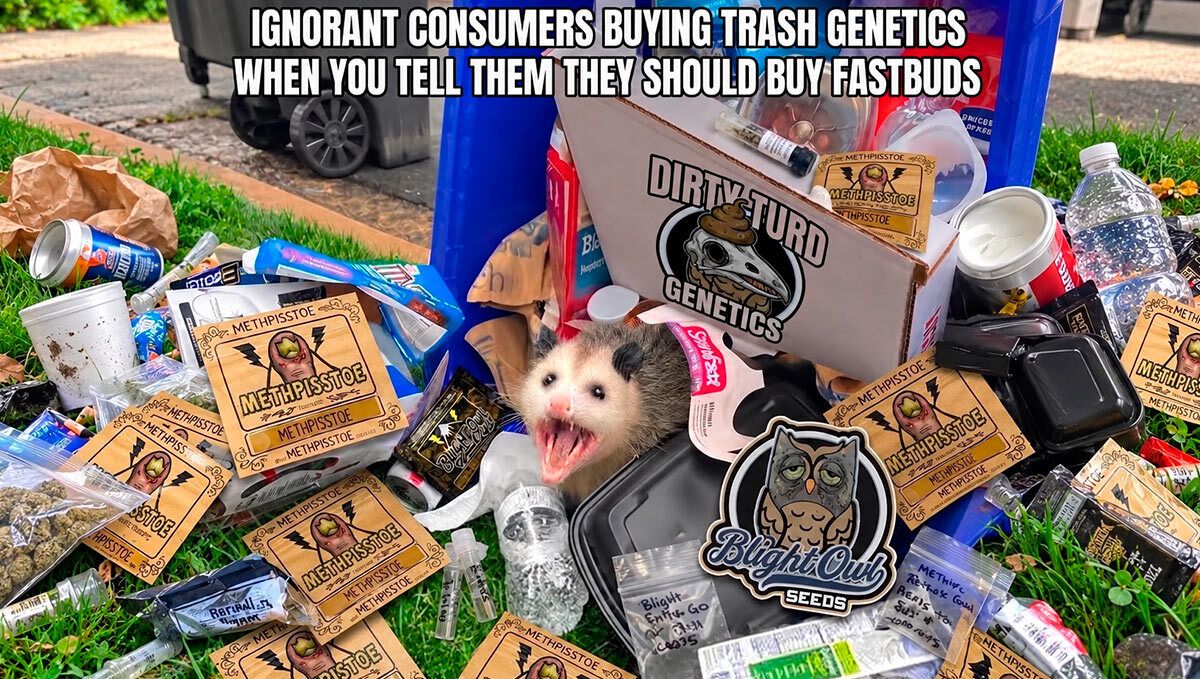 394.jpg Discord meme