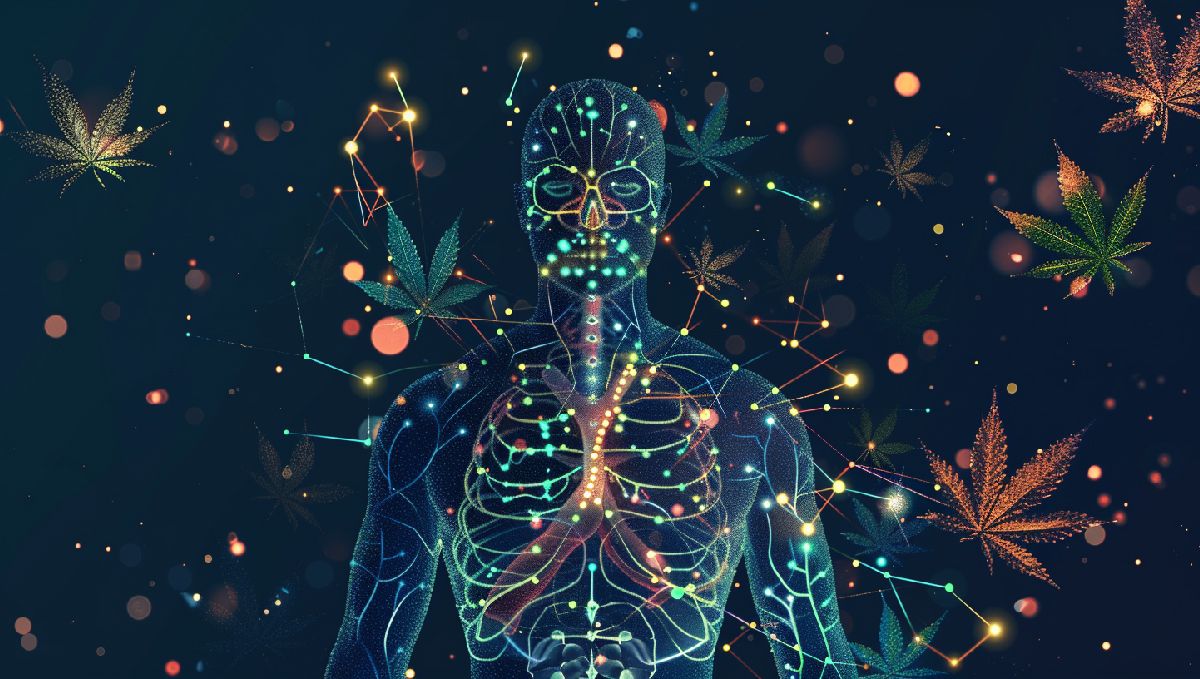 Medizinische Anwendungen Medizinische Anwendungen