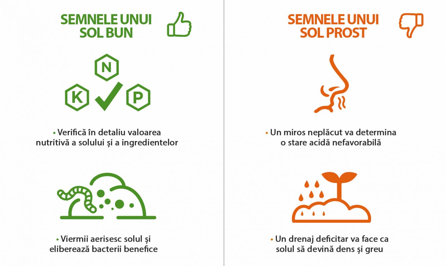 semnele unui sol bun pentru creșterea unei plante de canabis