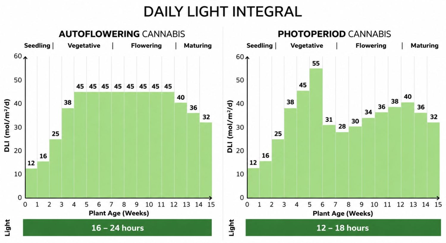 DLI (daily light integral) DLI (daily light integral)