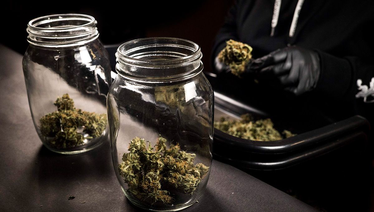 Die Fermentierung sollte in luftdicht verschlossenen Glasgefäßen erfolgen.