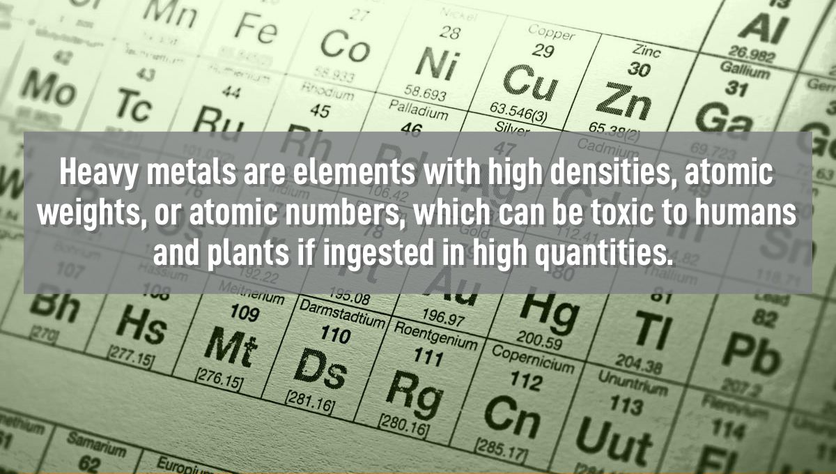 Heavy metals in cannabis: what are heavy metals