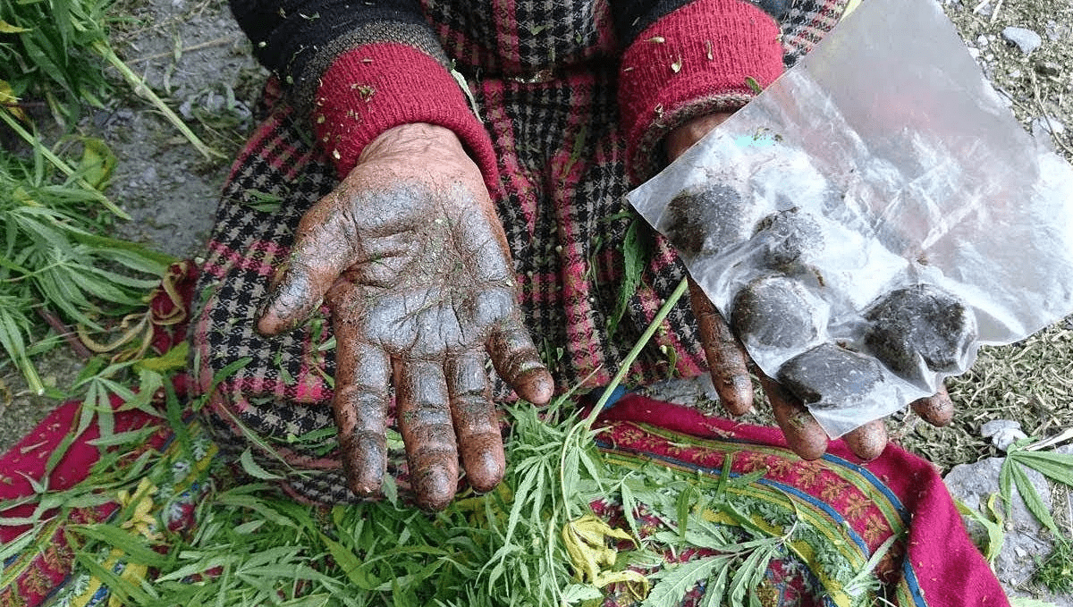 Everything you need to know about hash: charas Everything you need to know about hash: charas