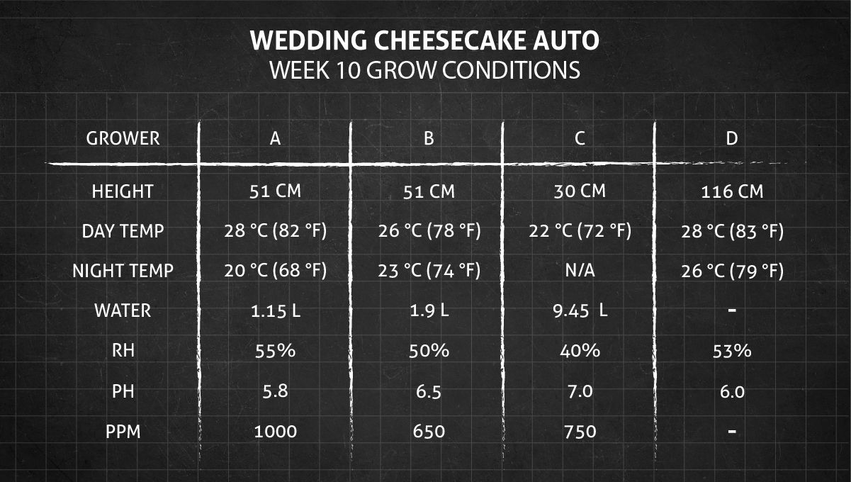 Grow Conditions Week 10+ Grow Conditions Week 10+