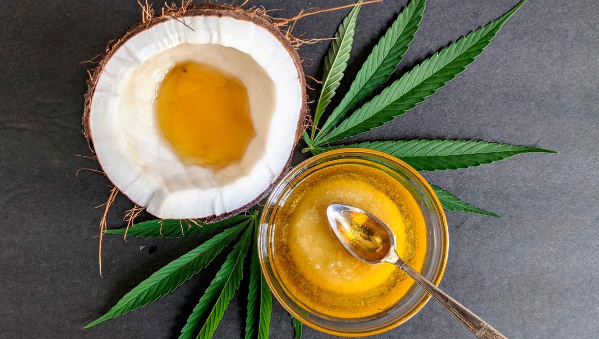 The three easiest edibles without using an oven: cannabis-infused coconut oil The three easiest edibles without using an oven: cannabis-infused coconut oil