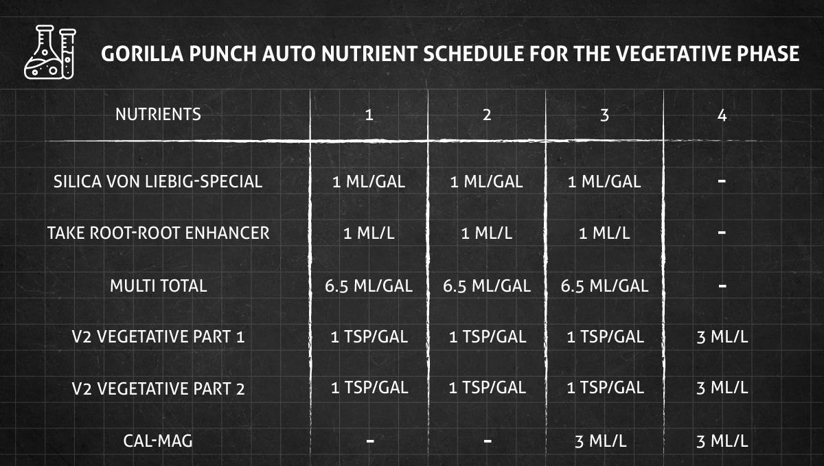 Gorilla Punch Auto cannabis strain: veg nutrient schedule Gorilla Punch Auto cannabis strain: veg nutrient schedule