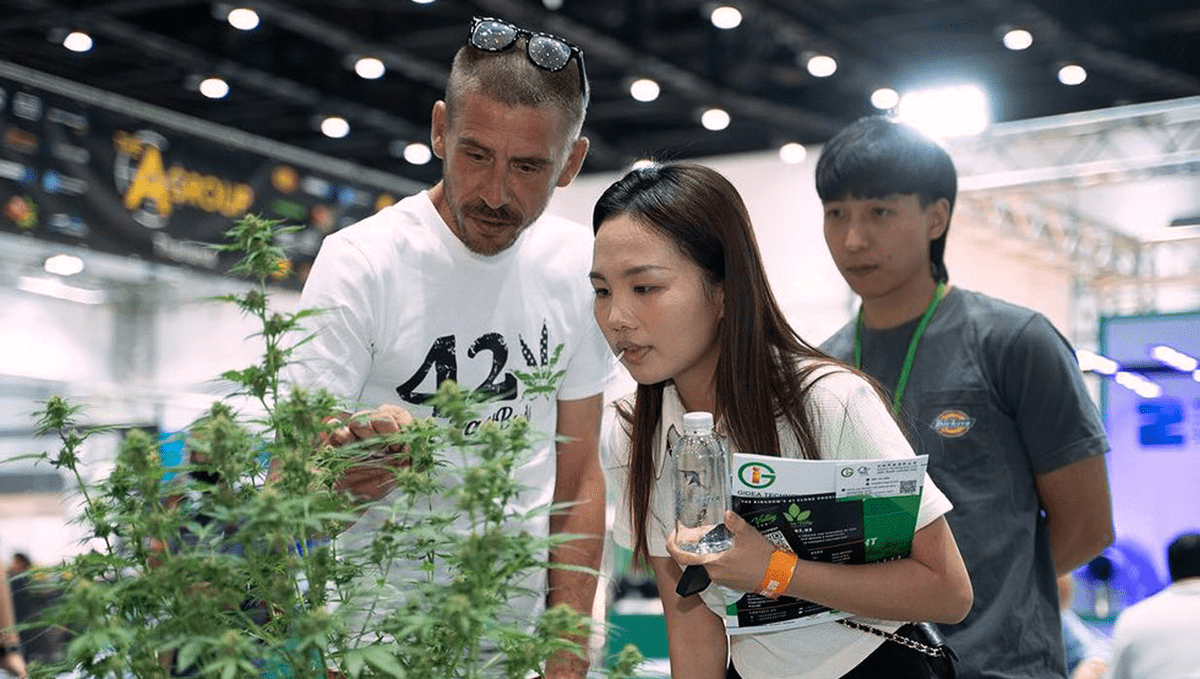 Asia International Hemp Expo: A One-of-a-Kind Experience