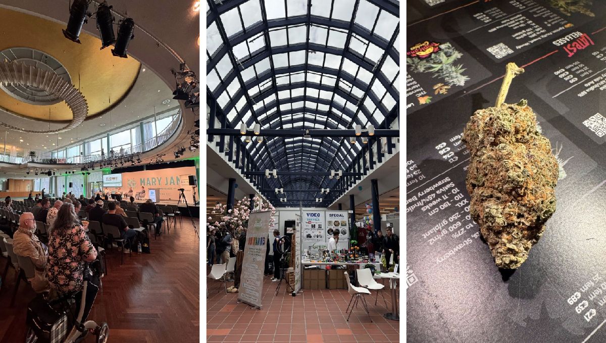 Mary Jane 2024: Die erste legale Weed-Expo in Europa Mary Jane 2024: Die erste legale Weed-Expo in Europa