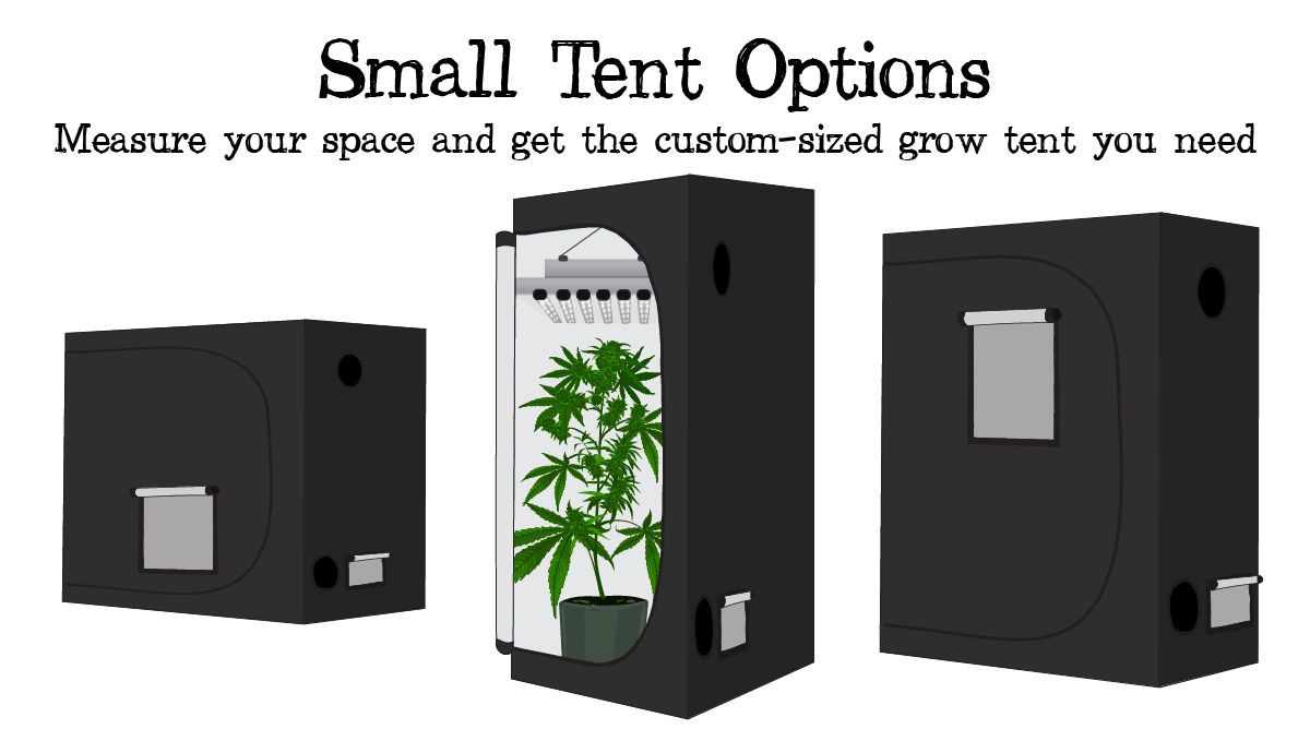 Grow small cannabis plants in tiny spaces: custom grow tent