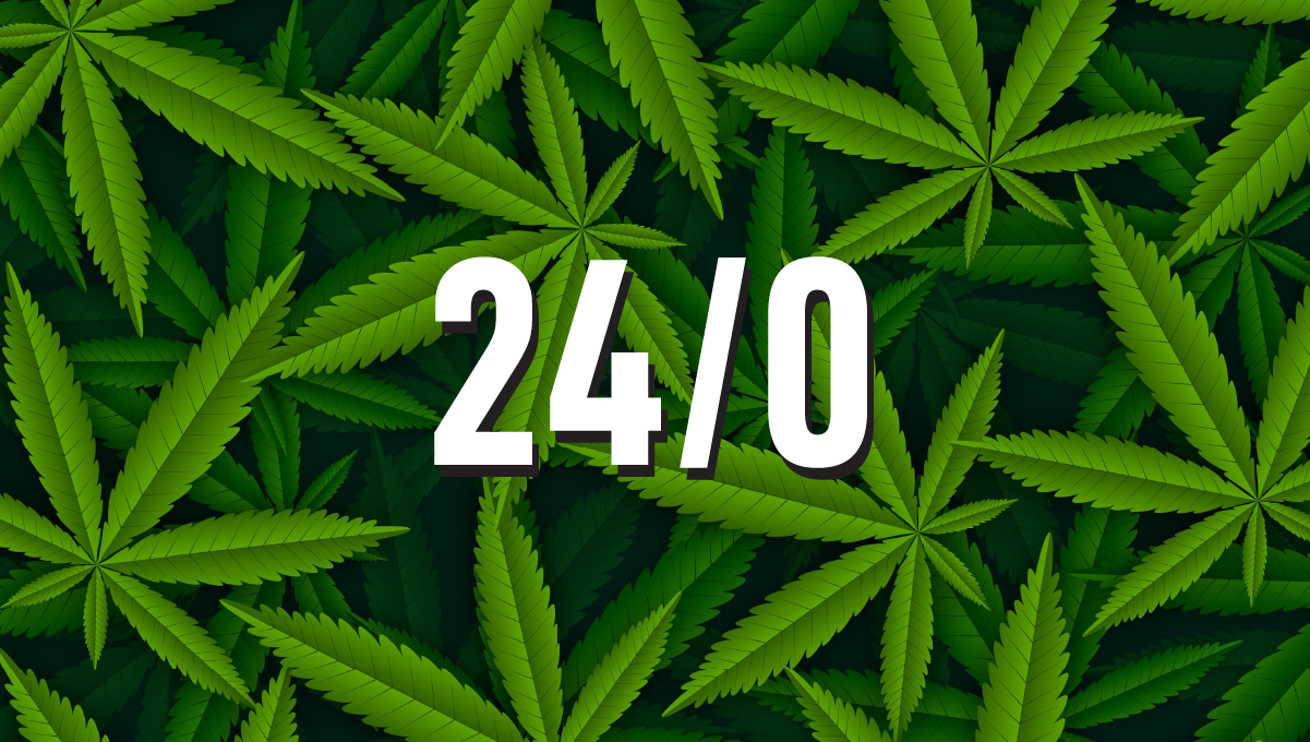 Cycle de lumière 24/0 pour les plantes de cannabis
