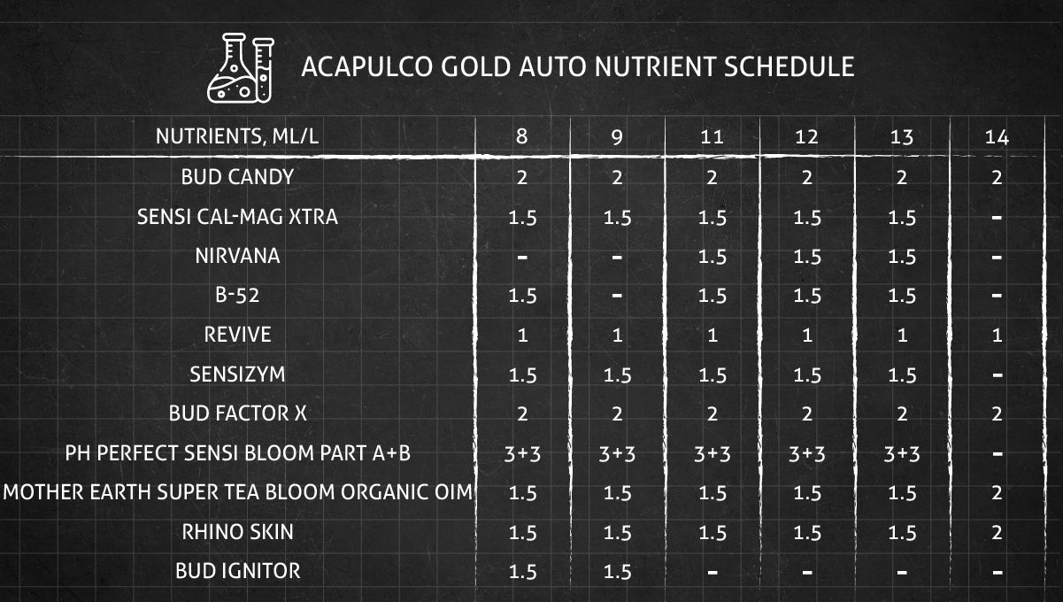 Acapulco Gold cannabis strain: feeding chart for the flowering stage