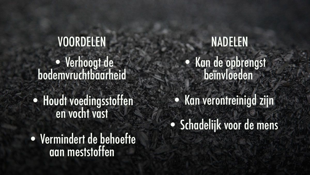 Welke grond is het beste voor zelfbloeiende cannabis?: Voor- en nadelen van het gebruik van Biochar in je grond