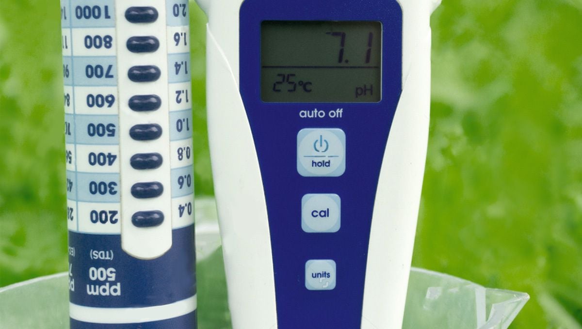 Wie man autoflowering Cannabispflanzen in Hydroponik-Systemen anbaut: pH-Werte überwachen und anpassen