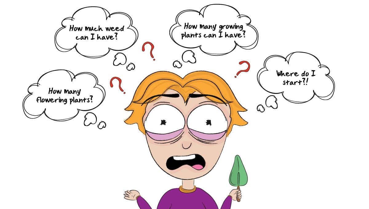 How to grow weed at home: legal politics How to grow weed at home: legal politics