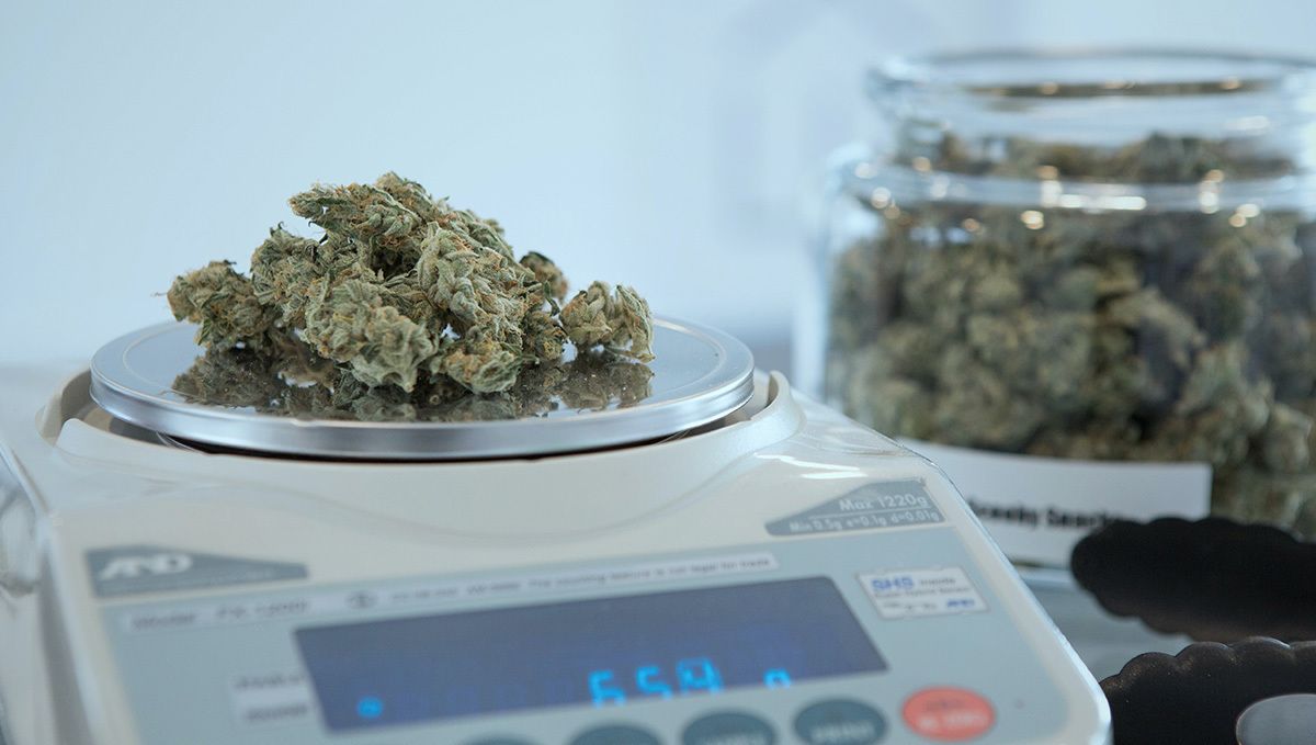 Weed measurements guide: an eighth of weed Weed measurements guide: an eighth of weed