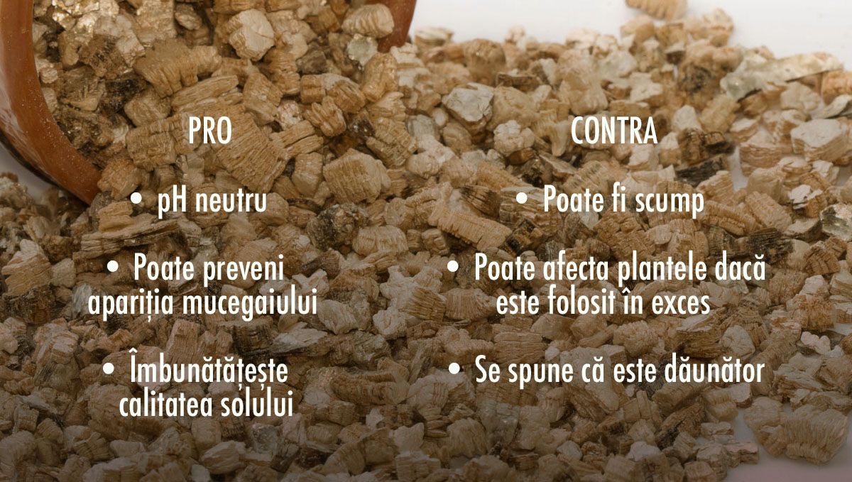 Pro și contra adăugării vermiculitei în solul tău