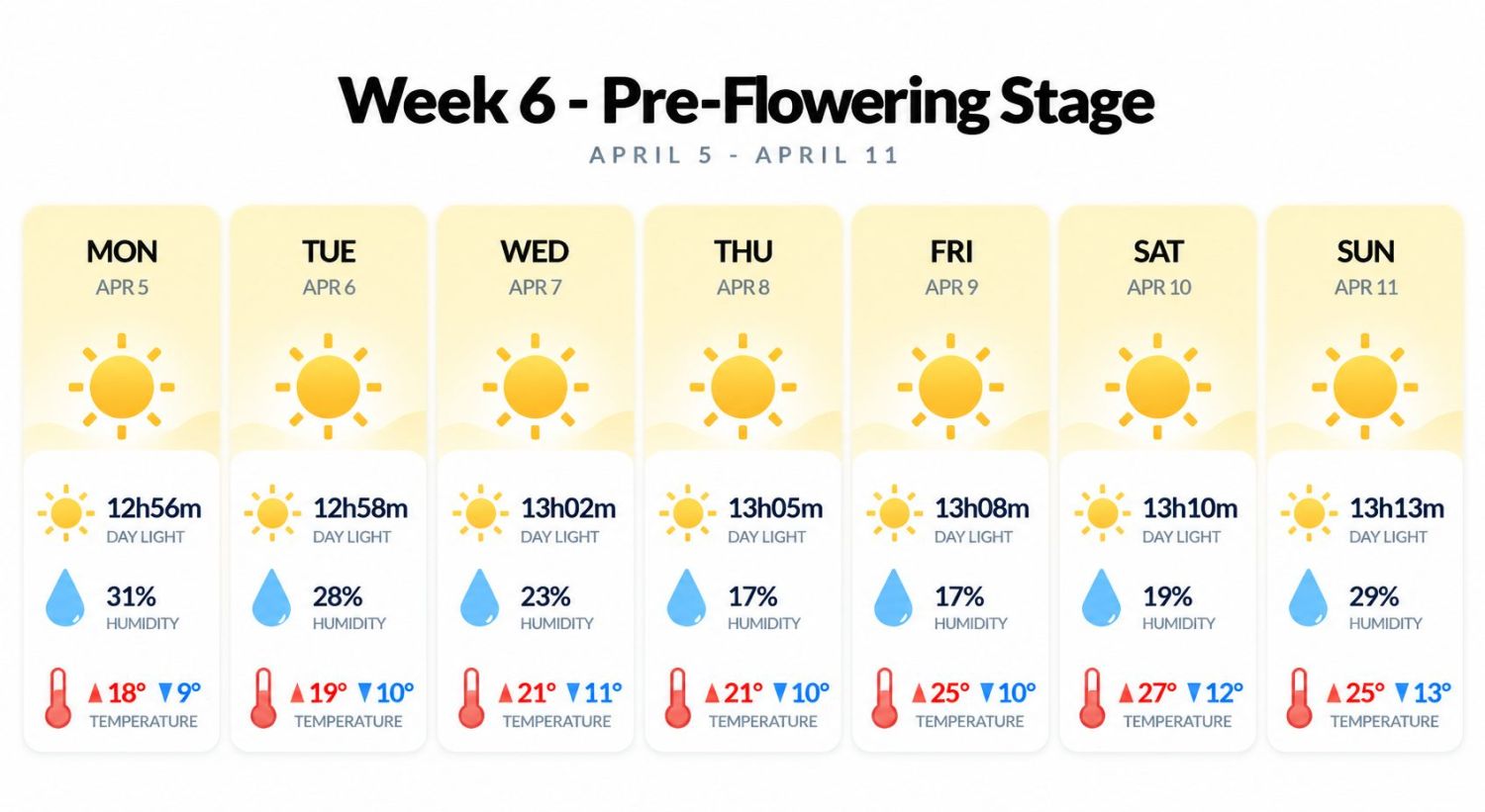 Growing cannabis outdoors in Italy: week 6 of the vegetative stage