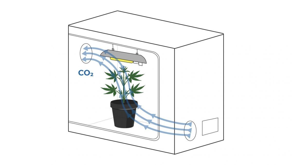 Espacio de cultivo DIY: Ventilación