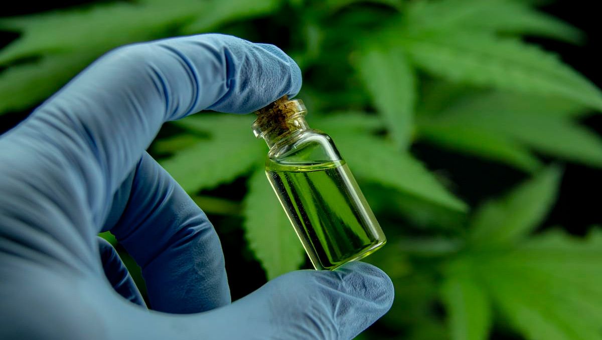 Was ist Synthetisches Cannabis: Die Gefahren Gefälschtes Gras kann mehrere schädliche Nebenwirkungen haben.