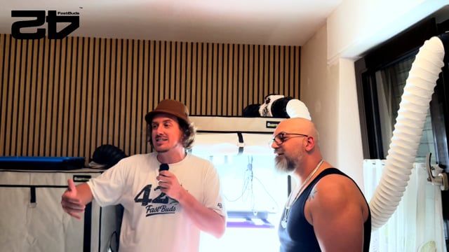 paranoeid homegrow report english