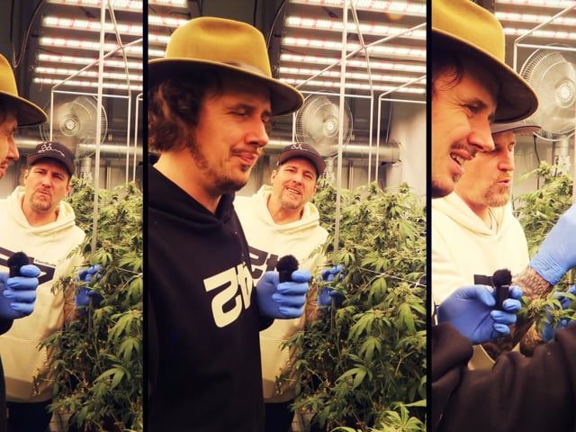 Breeding facilities 4:3