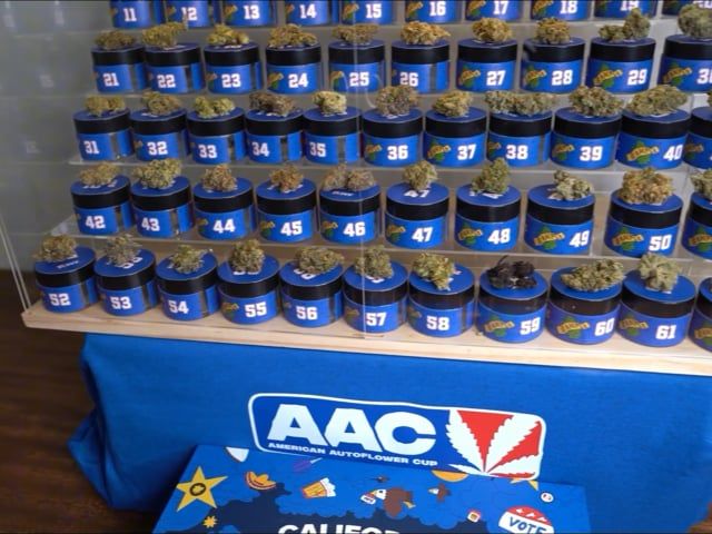 4x3 fast buds AAC 2024