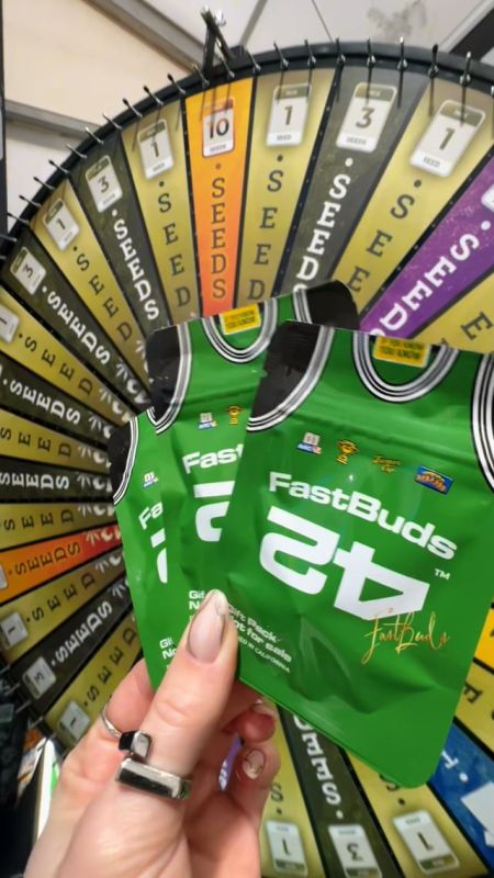 Spannabis 2025 not safe