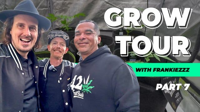 � Grow Tour at Frankieeezz � SoCal Setup, Organic Vibes & Real Growers Love �