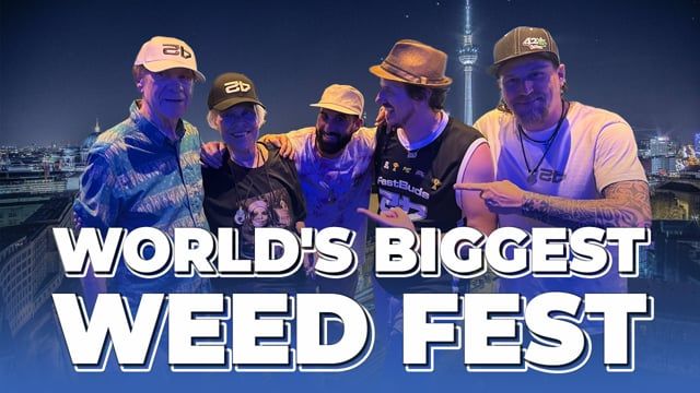 Mary Jane Berlin 2025 ENG