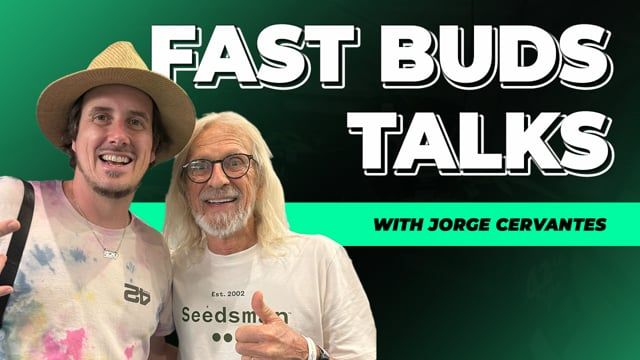 Jorge Cervantes Interview DISCORD EXCLUSIV Eng