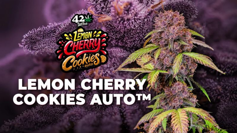 Lemon Cherry Cookies Auto