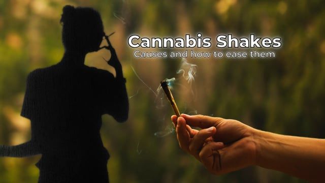 Cannabis Shakes - Causes of Marijuana tremors and how to ease them