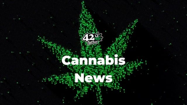 Cannabis News - August 2021