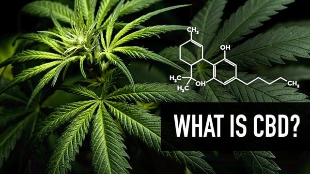 What is CBD?