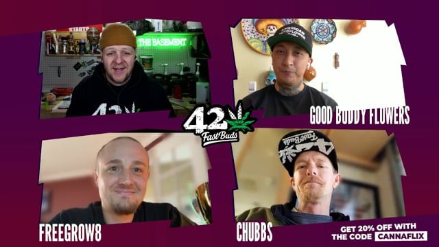 American Autoflower Cup Winners